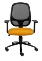 Cortiva Prestige Work Chair