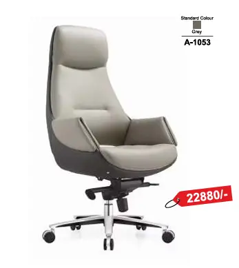 A-1053 Luxury chair that feels different! 
